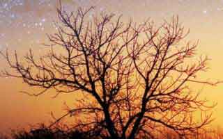 别再靠感觉了：51网网址的新手最容易犯的错：把完播率当成小事（细节决定一切）