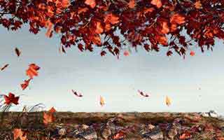 蘑菇影视在线观看盘点：热点事件5大爆点，当事人上榜理由彻底令人瞬间沦陷