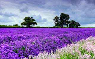 蘑菇影视在线观看盘点:热点事件5大爆点,当事人上榜理由彻底令人瞬间沦陷