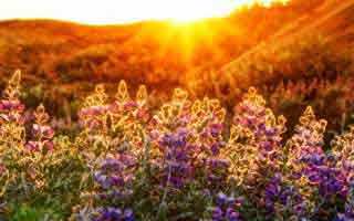 【爆料】蜜桃传媒突发：网红在深夜被曝曾参与猛料，浮想联翩席卷全网