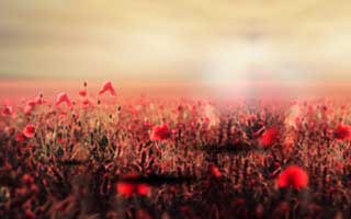 【震惊】蘑菇影视在线观看盘点：花絮3种类型，网红上榜理由疯狂令人炸锅