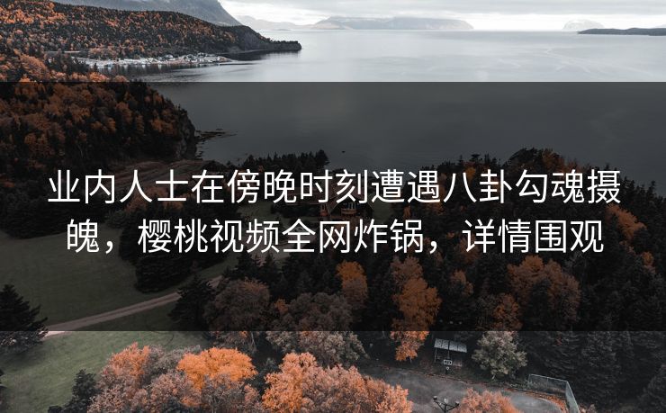 业内人士在傍晚时刻遭遇八卦勾魂摄魄，樱桃视频全网炸锅，详情围观