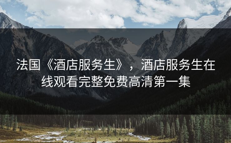 法国《酒店服务生》，酒店服务生在线观看完整免费高清第一集