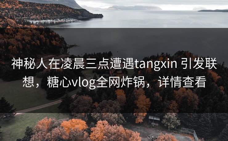 神秘人在凌晨三点遭遇tangxin 引发联想，糖心vlog全网炸锅，详情查看